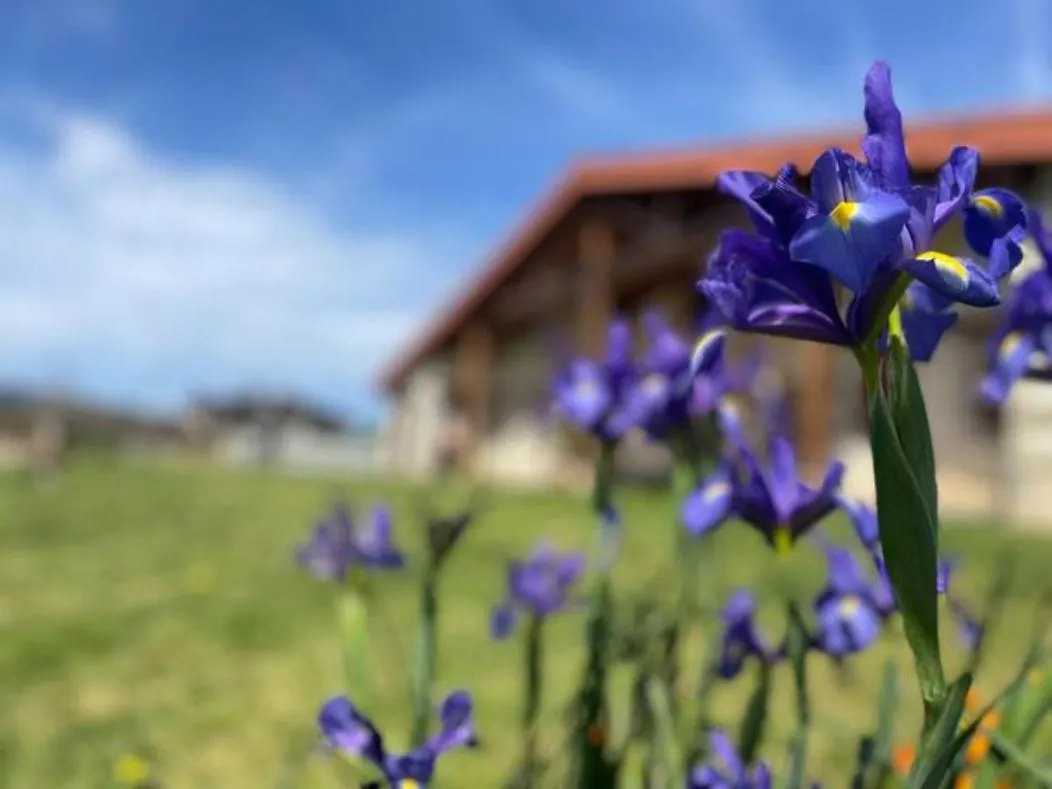 بيت للعطل فيلا Ven Y Disfruta En El Corazon De Bizkaia-Urdaibai Lbi00509 Gautegiz Arteaga إسبانيا