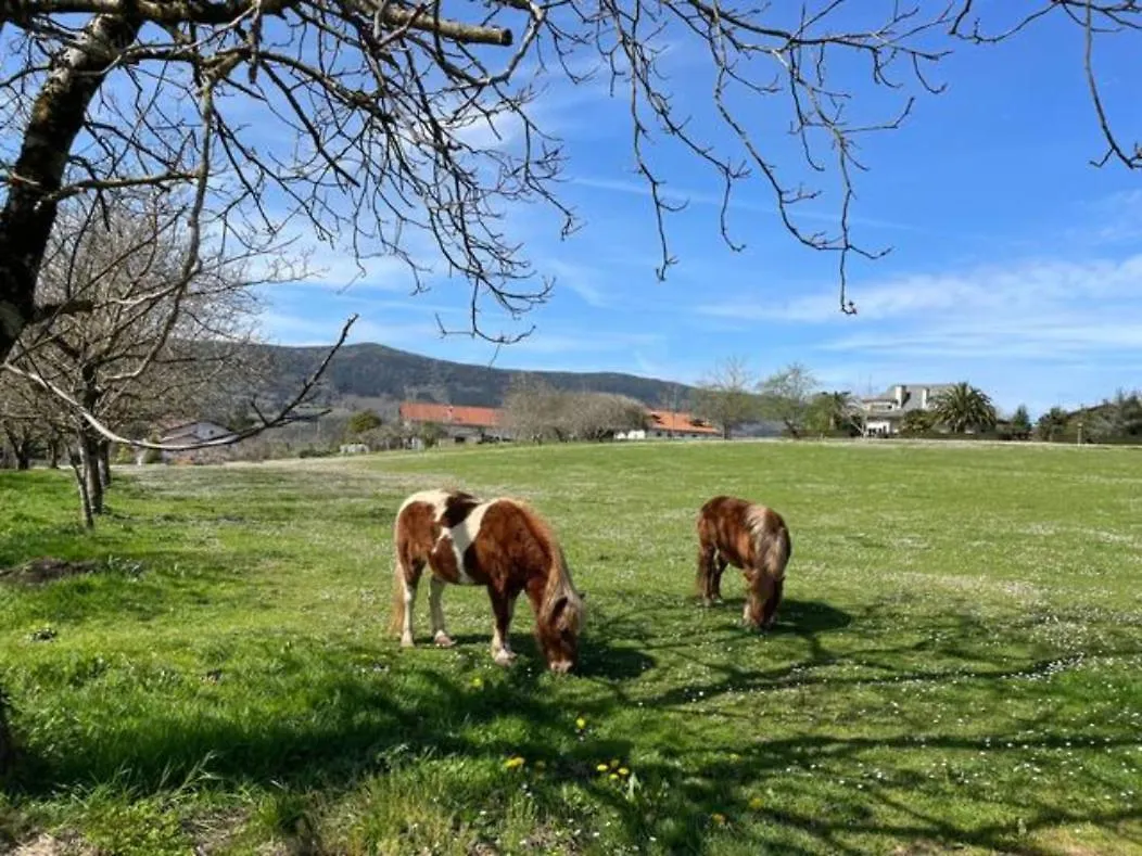בית נופש הוילה Gautegiz Arteaga Ven Y Disfruta En El Corazon De Bizkaia-Urdaibai Lbi00509