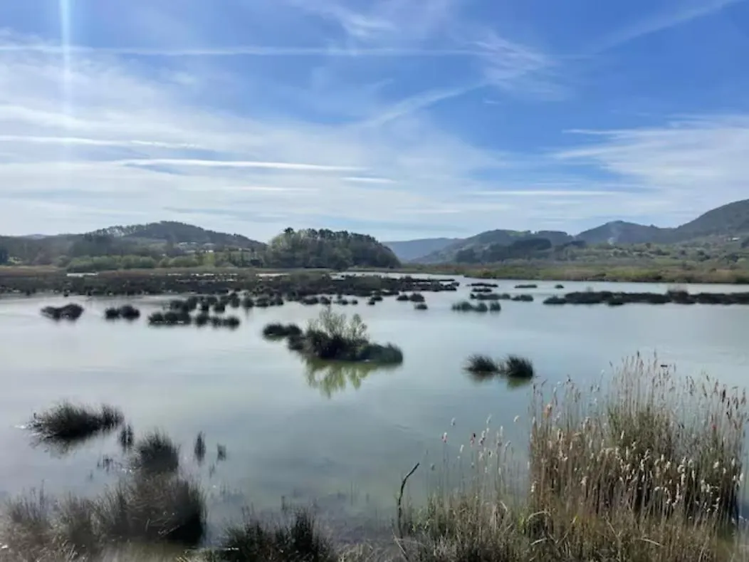 הוילה Gautegiz Arteaga Ven Y Disfruta En El Corazon De Bizkaia-Urdaibai Lbi00509 0*,
